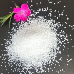 Anionic Polyacrylamide(APAM)